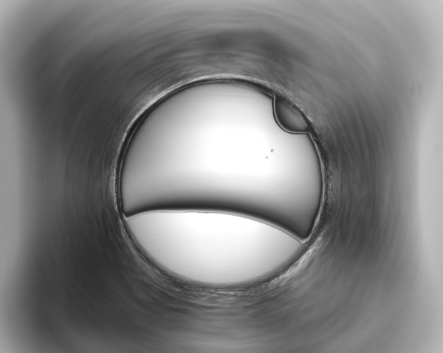 X0000093611513200710151007