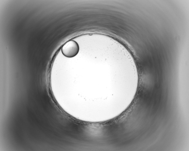 X0000093611514200710151007