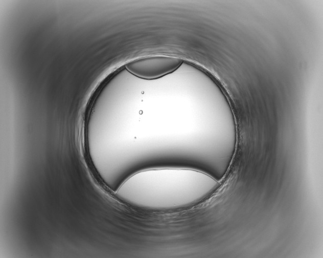 X0000093611515200710151007