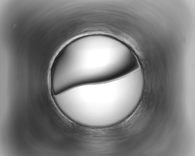 X0000093611516200710151007