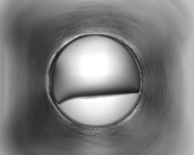 X0000093611517200710151007