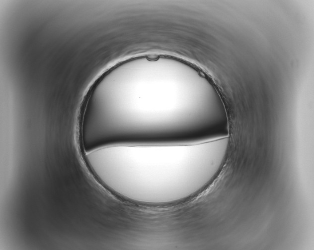 X0000093611518200710151007