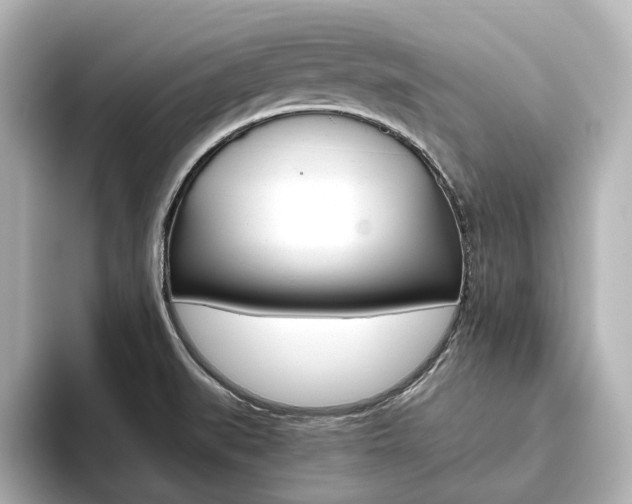 X0000093611519200710151007