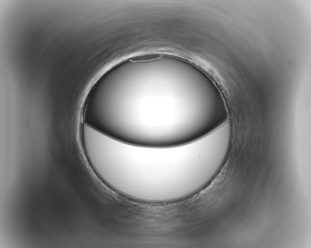 X0000093611520200710151007