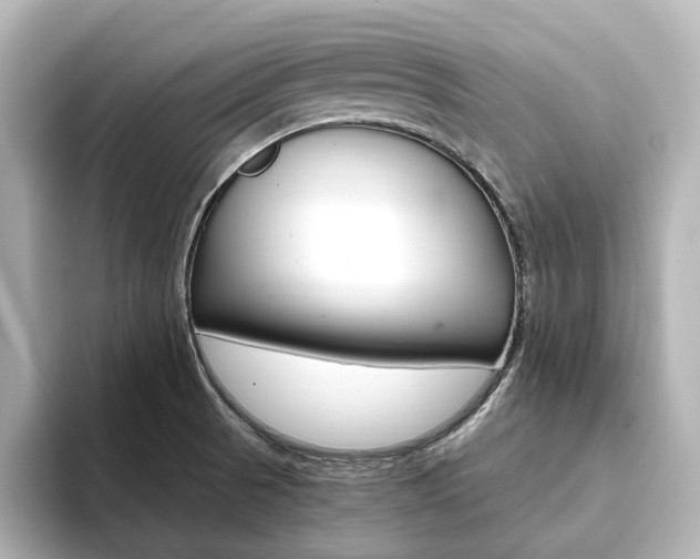 X0000093611521200710151007