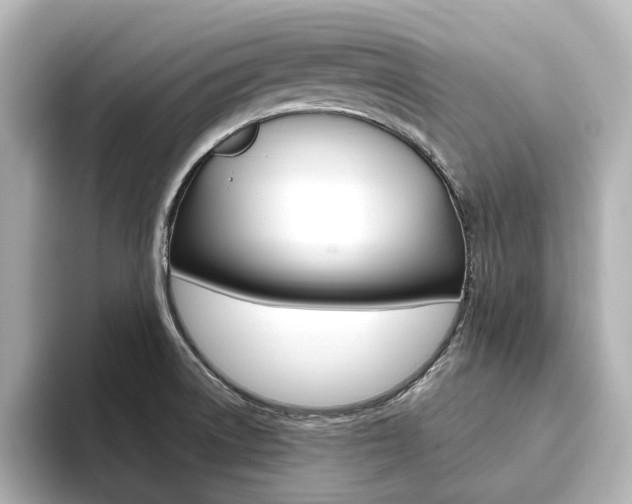 X0000093611522200710151007