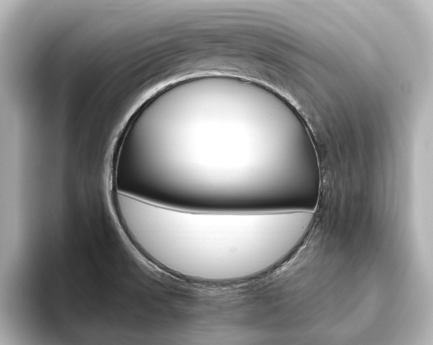 X0000093611523200710151007