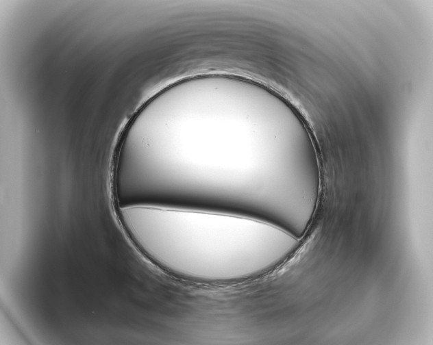 X0000093611525200710151007