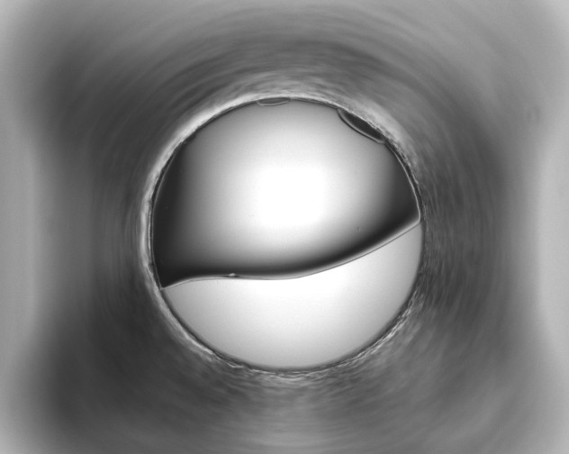 X0000093611528200710151007