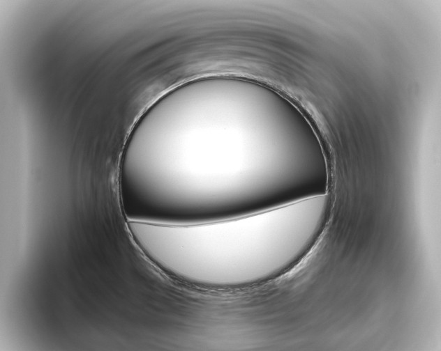 X0000093611529200710151007