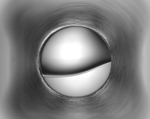 X0000093611531200710151007