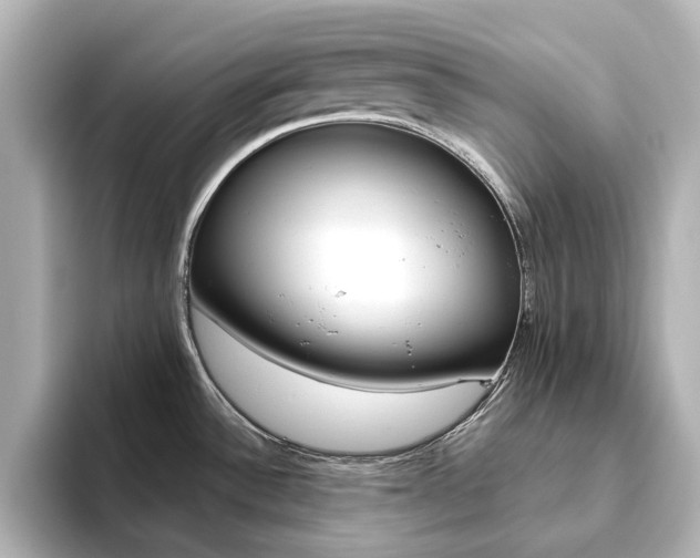 X0000093611532200710151007