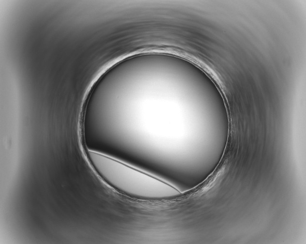 X0000093611533200710151007