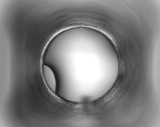 X0000093611535200710151007