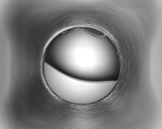X0000093611536200710151007