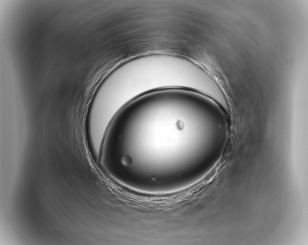 X0000093610001200710151247