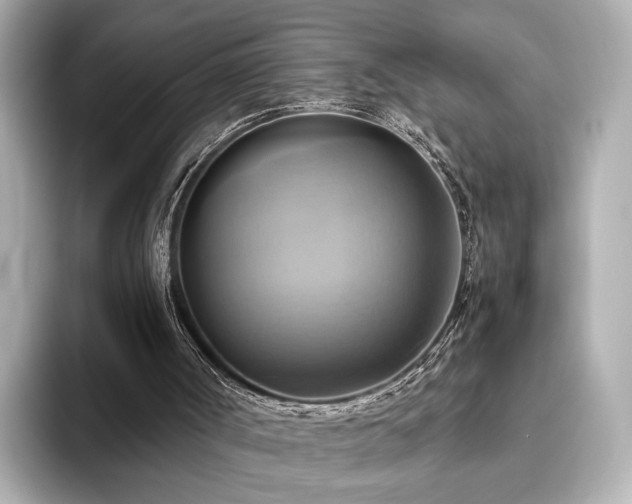 X0000093610002200710151247