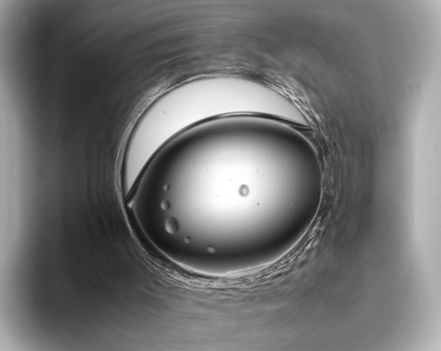 X0000093610003200710151247