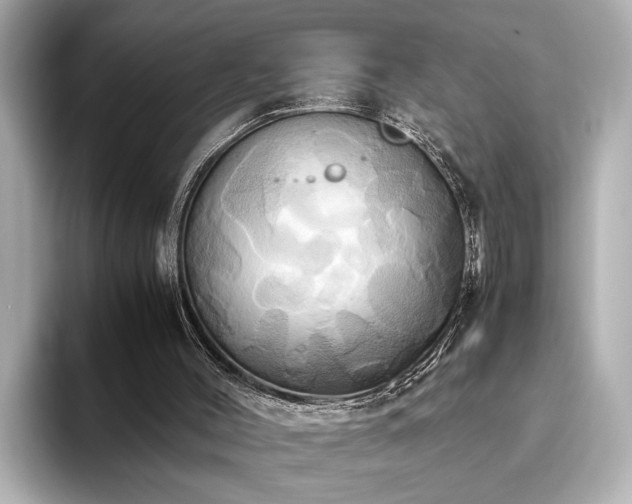 X0000093610004200710151247