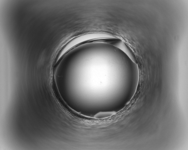 X0000093610005200710151247