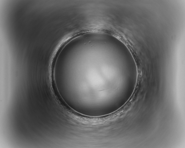 X0000093610006200710151247