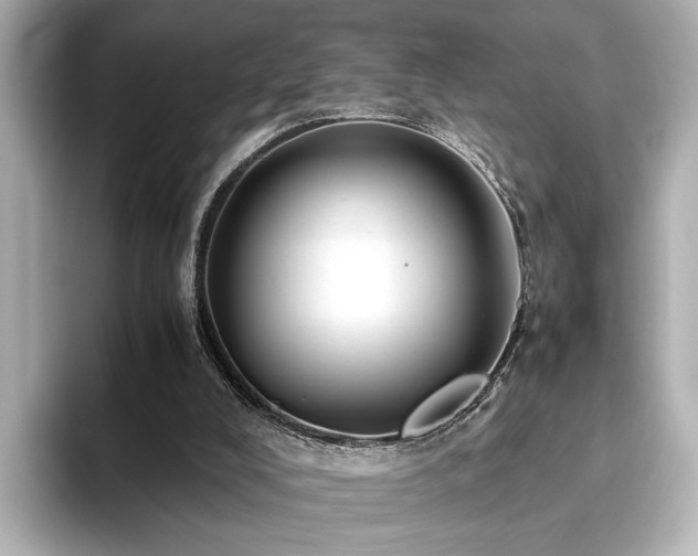 X0000093610008200710151247
