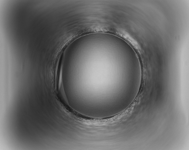 X0000093610009200710151247