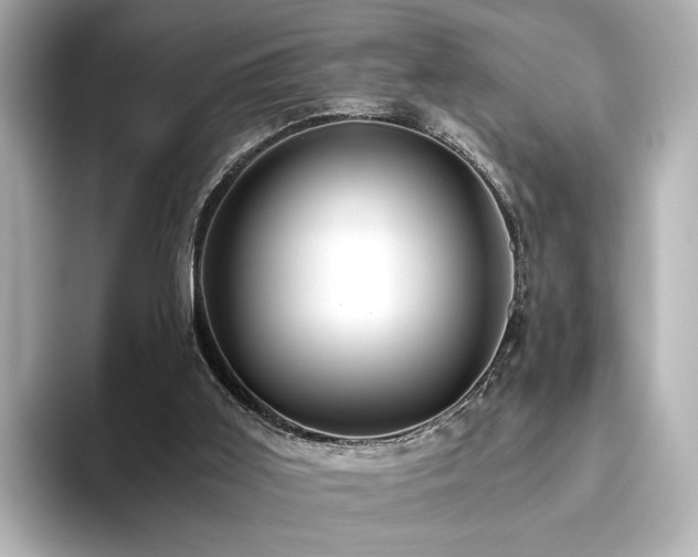 X0000093610011200710151247