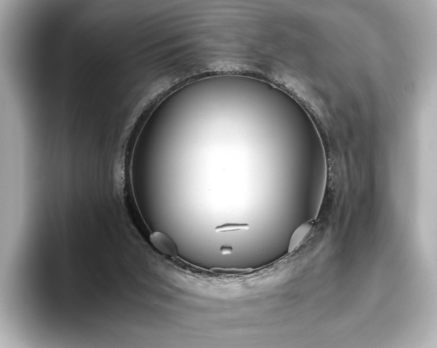 X0000093610015200710151247