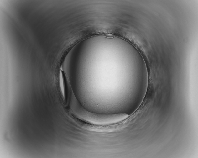 X0000093610017200710151247