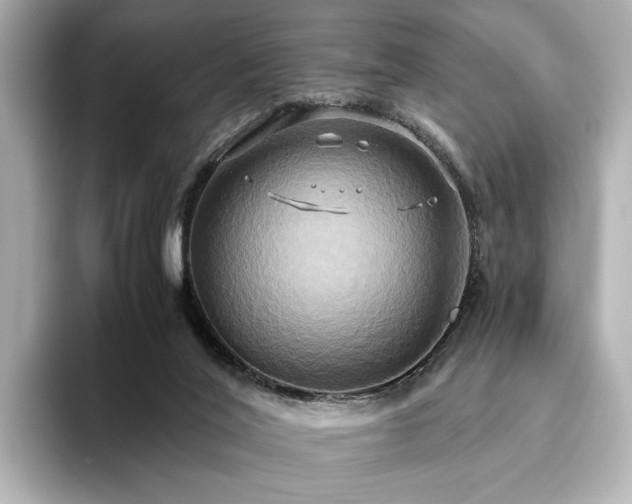 X0000093610020200710151247