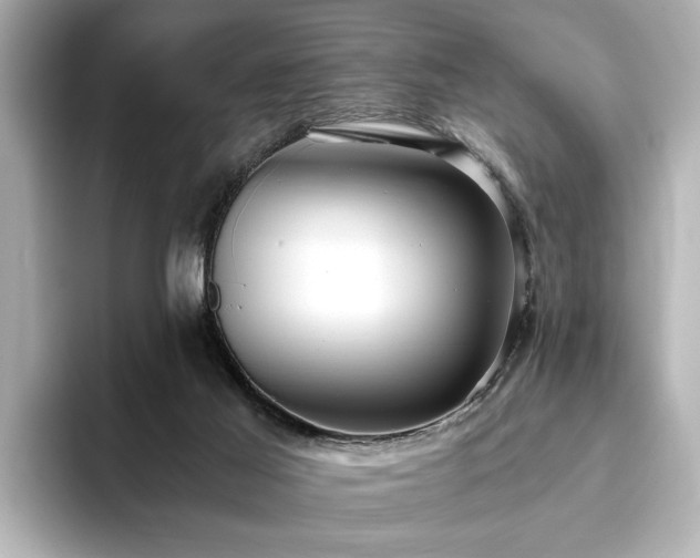 X0000093610021200710151247