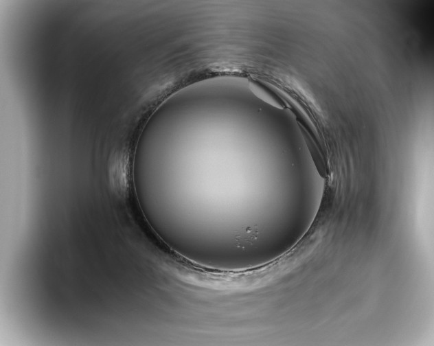 X0000093610023200710151247