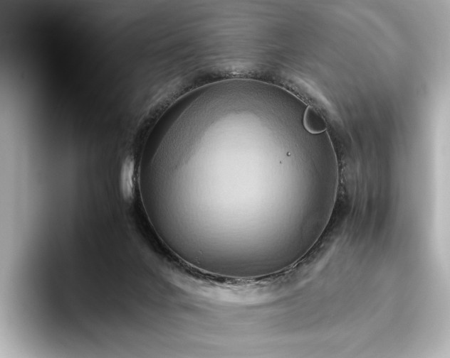 X0000093610024200710151247