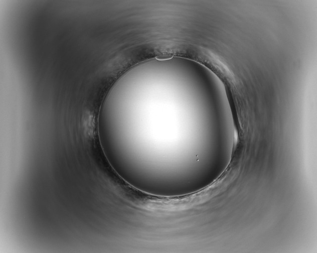 X0000093610025200710151247