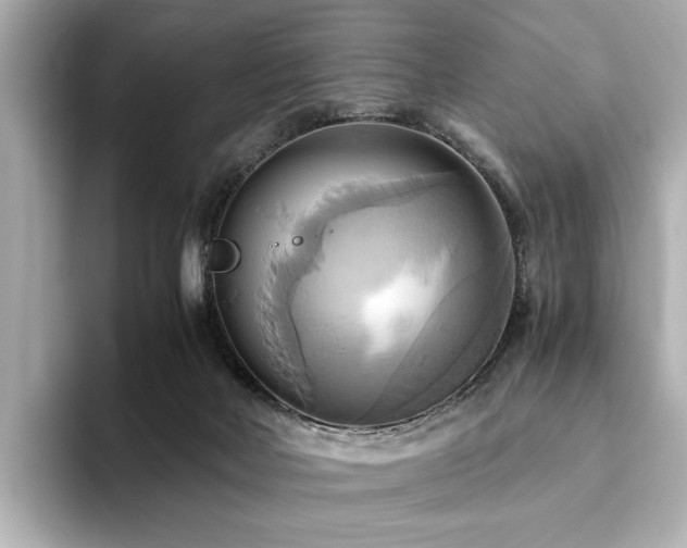 X0000093610026200710151247