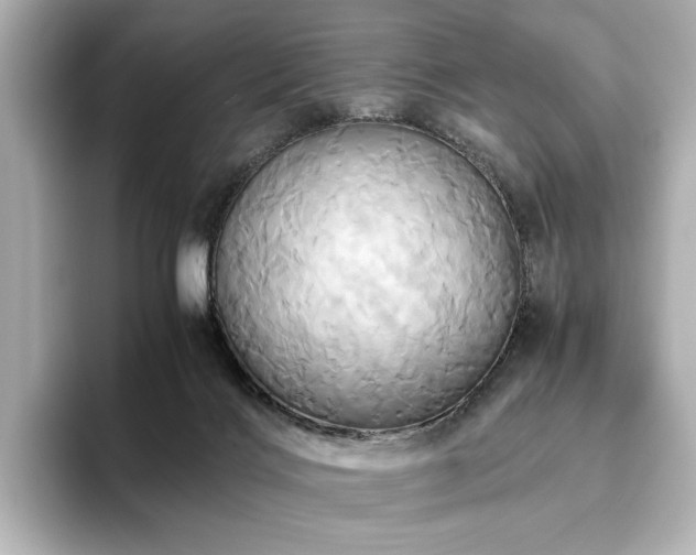 X0000093610028200710151247