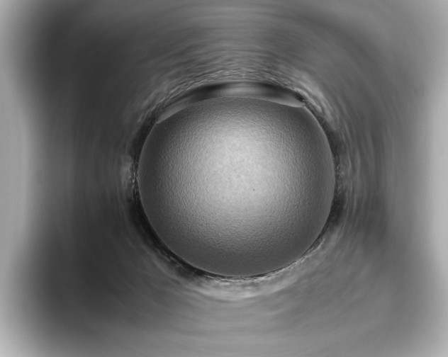X0000093610029200710151247