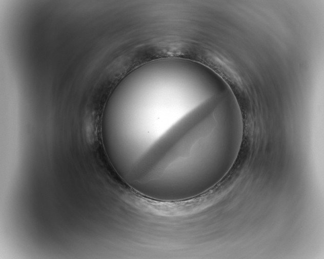 X0000093610030200710151247