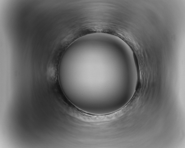X0000093610031200710151247