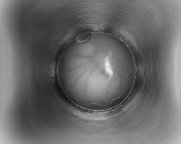 X0000093610032200710151247