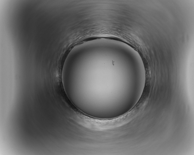 X0000093610039200710151247