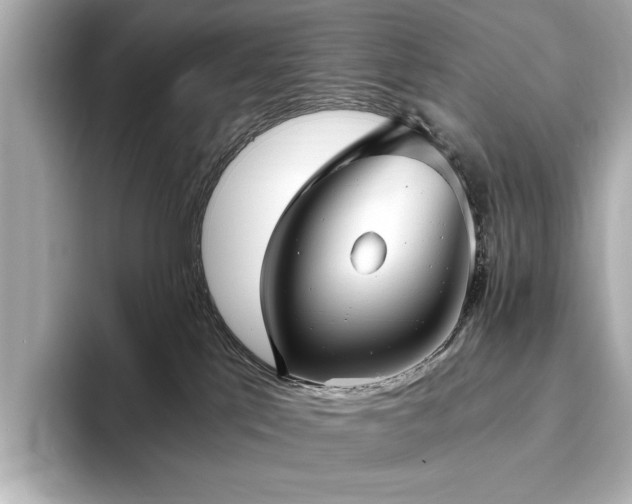 X0000093610041200710151247