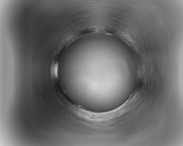X0000093610047200710151247