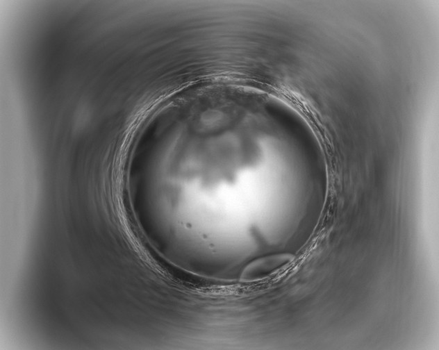 X0000093610049200710151246