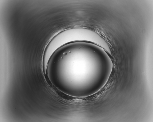 X0000093610052200710151246