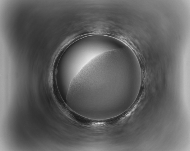 X0000093610055200710151246