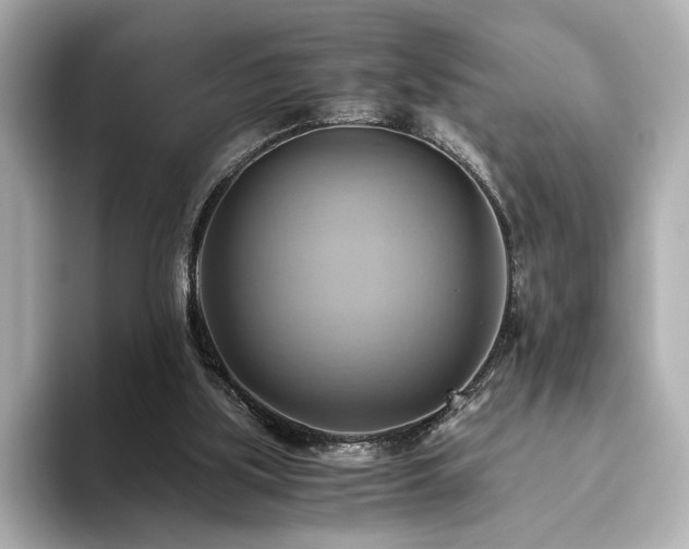 X0000093610059200710151246