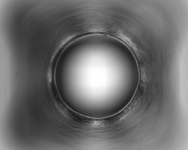X0000093610060200710151246