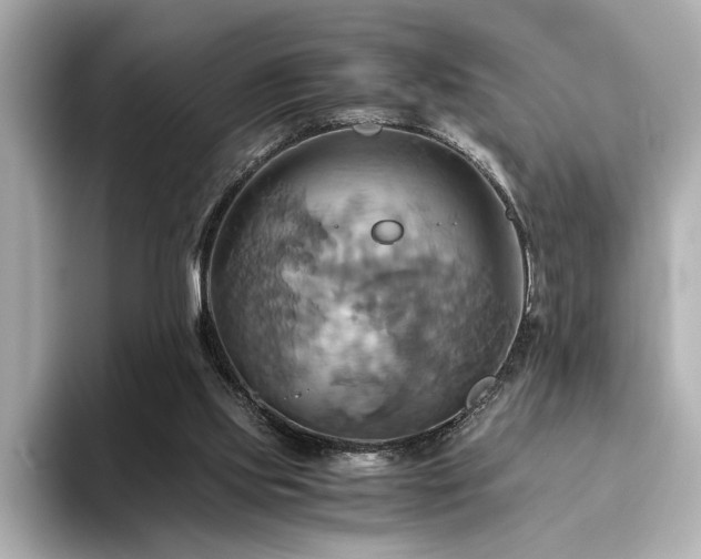 X0000093610061200710151246